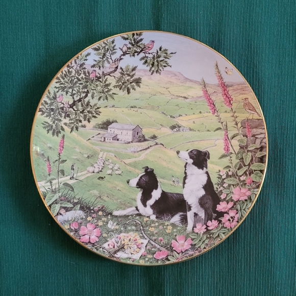 Complete Plate Collection of "All Creatures Great and Small" - Picture 12 of 13